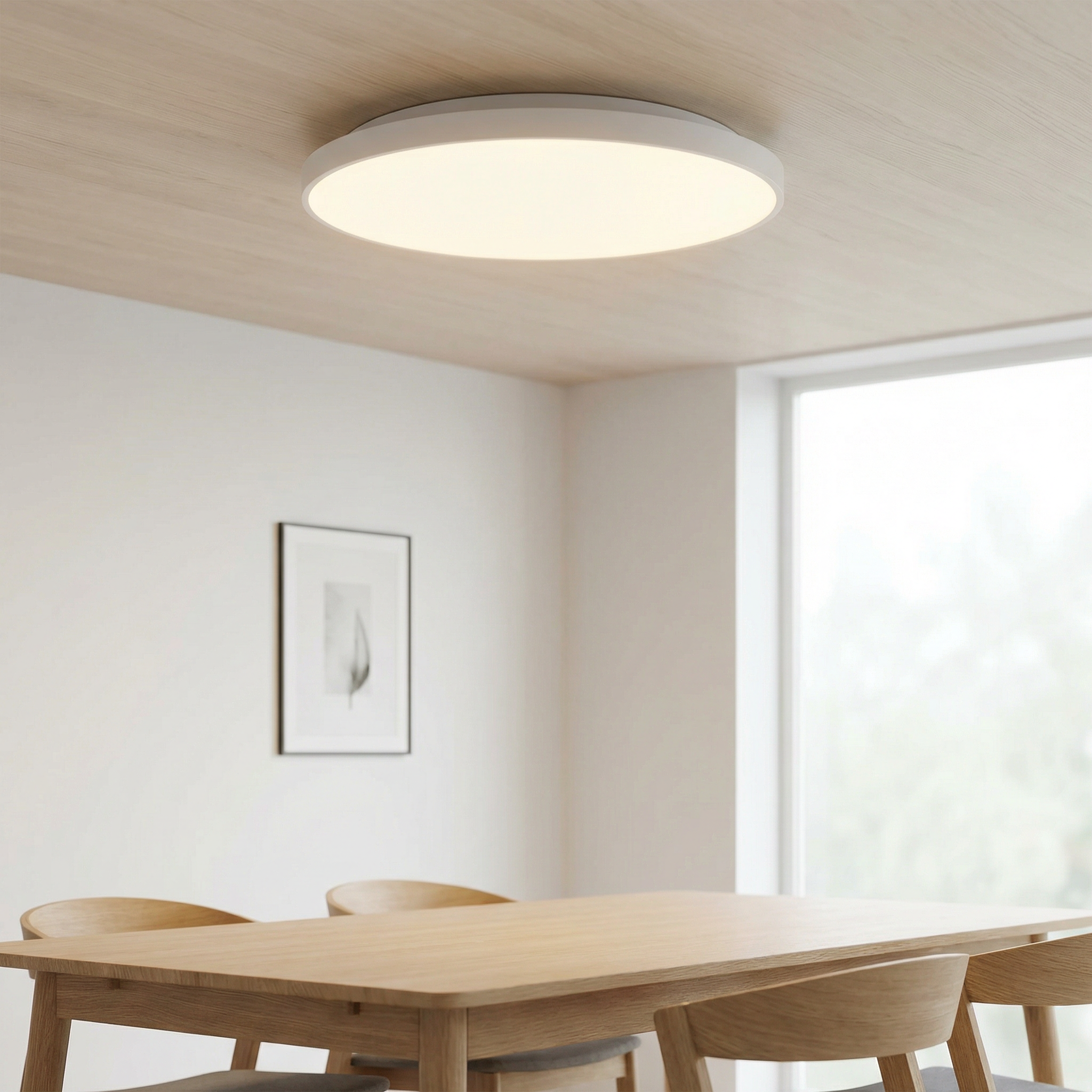 Smart Ceiling Light